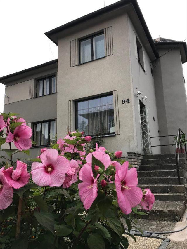Apartman Hrubá Skála Buitenkant foto