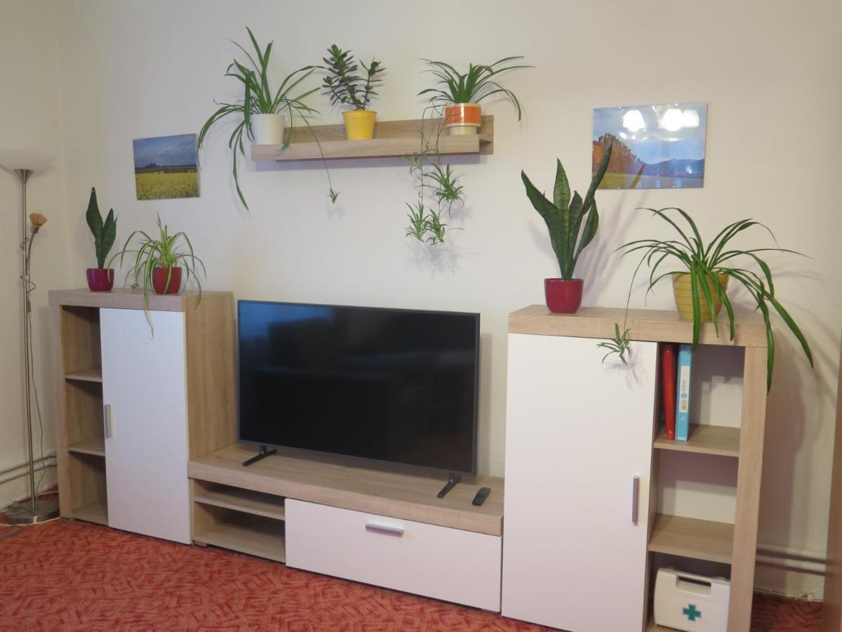 Apartman Hrubá Skála Buitenkant foto